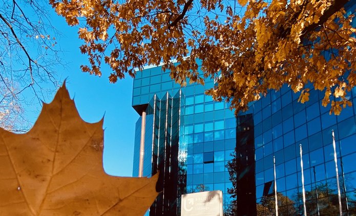 budynek biblioteki uł, na pierwszym planie żółte liście