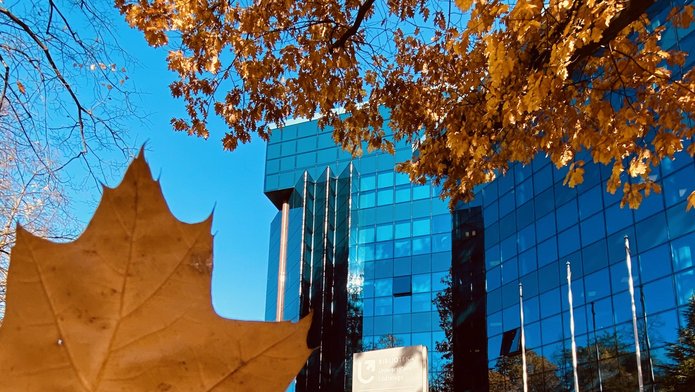 budynek biblioteki uł, na pierwszym planie żółte liście