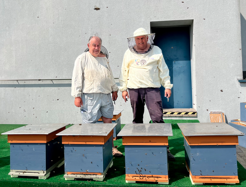 pszczelarze z nowymi ulami